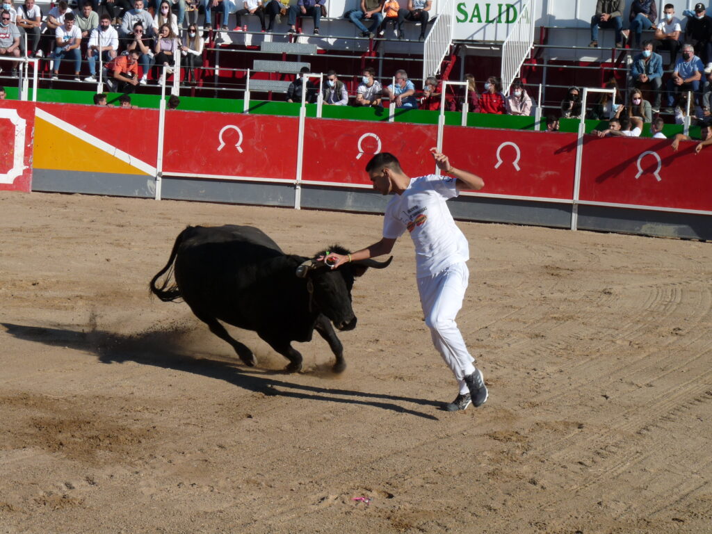 Capturar la esencia del arte y la pasión por la fiesta brava