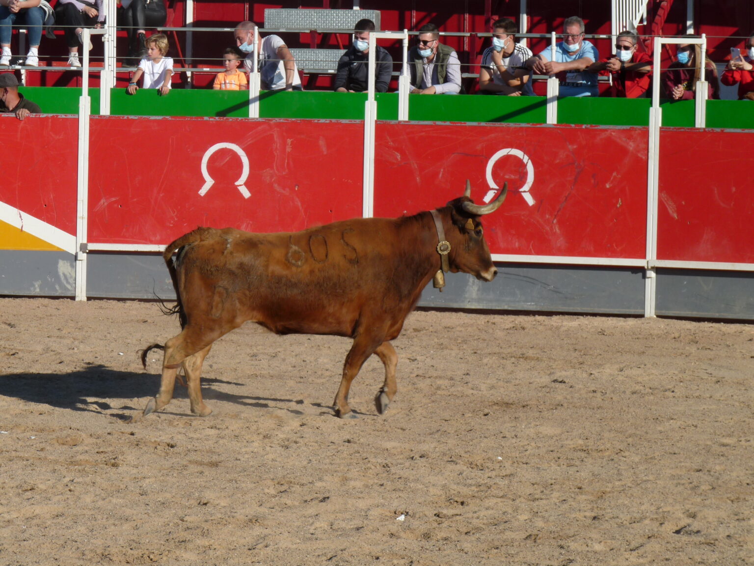 Fotografía Taurina